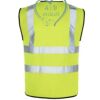 Lynton Hi Vis Vest Thumbnail